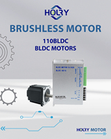 Moteur CC sans balais industriel personnalisé à aimant permanent, robuste, 110 mm, 48 V, triphasé, 1 kW, 1,5 kW, 2 kW, couple élevé, 3000 tr/min