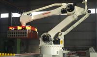 Paletizador automático/Robot apilador equilibrio grúa ladrillos paletizador máquina caja paletizador