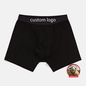 Boxers pour hommes CELINNE en mélange de laine mérinos et de polyester, séchage rapide, respirabilité améliorée, sous-vêtements pour hommes - Product Image 1