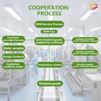 Poudre de fruits et légumes lyophilisés en mélange pour smoothies, complément nutritionnel de qualité alimentaire, directement de l'usine, personnalisable