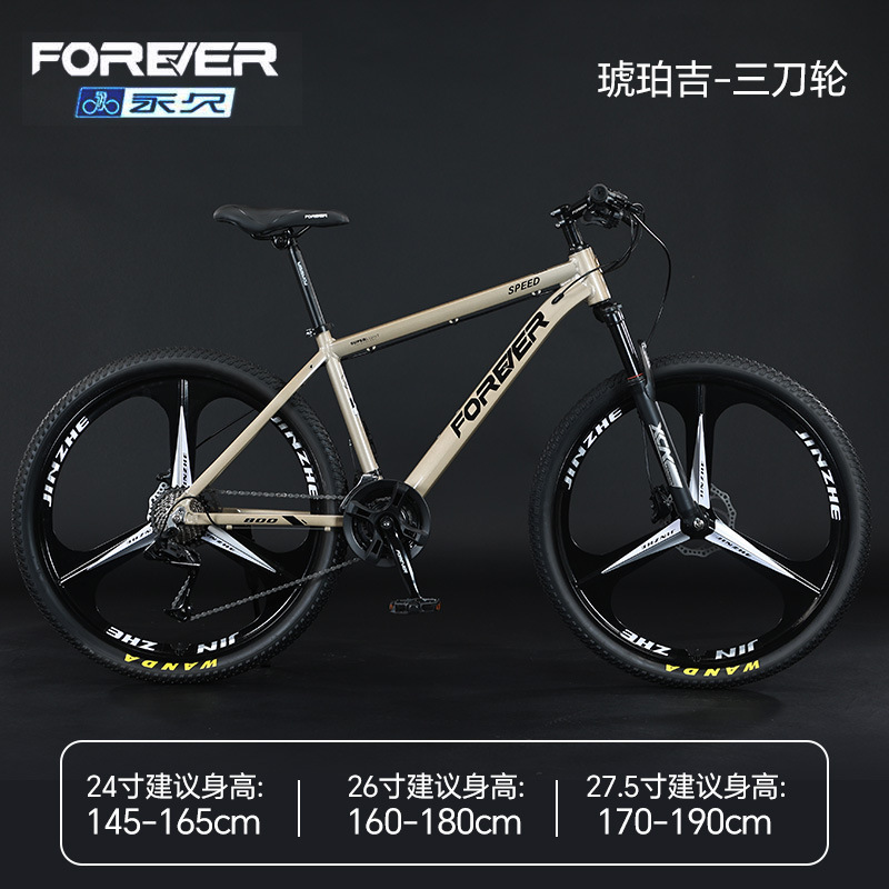 Steel frame - three-wheel drive - Amberjet [24-speed]