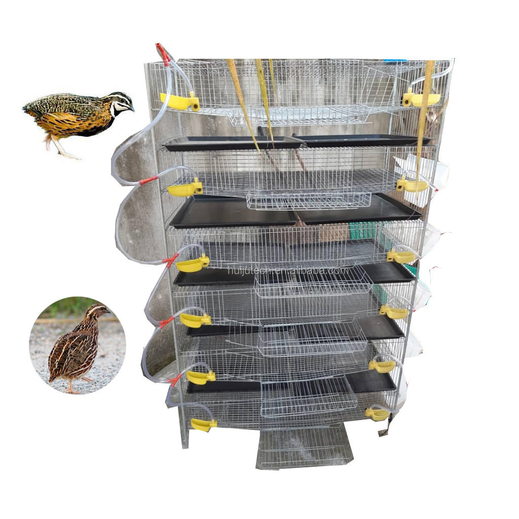 動物および家禽の家畜用機器ウズラ層ケージHJ-QC400A層H型ウズラケージ