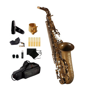 Popular Grade <strong>Classic</strong> Structure Gold Lacquer KSA-C2 Alto Saxophone - Product Image 1