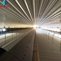 Conception Gratuite de Bâtiment Avicole Simple en Structure Acier pour Poulets de Chair et Poules Pondeuses, Ferme d'Élevage d'Œufs Préfabriquée pour l'Élevage à Grande Échelle