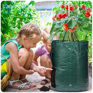 OEM vente en gros personnalisé noir vert foncé PE <span class=keywords><strong>fraise</strong></span> 3/5/7/10 gallons sacs de culture de rhizomes pour plants de pommes de terre et légumes - Product Image 6