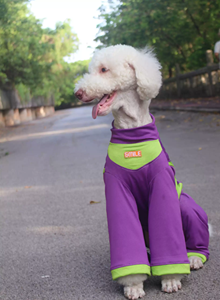 Combinaison en maille à quatre pattes pour chien, rafraîchissante et anti-poussière, pour l'extérieur, pour Golden Retriever, Samoyed, Malamute, Caniche géant, Violet - Product Image 4