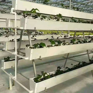 <span class=keywords><strong>Gouttière</strong></span> de plantation de fraises à faible coût - Product Image 6