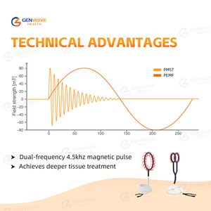 Appareil de thérapie magnétique PEMF pour chevaux, traitement équin, vente chaude, boucle PMST, thérapie par champ électromagnétique pulsé physique portable - Product Image 4