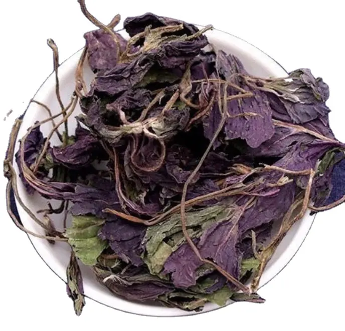 Especias secas y té de alta calidad, hoja de Perilla natural, hojas de perilla total