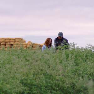 Il terreno di invasatura organico compresso <span class=keywords><strong>per</strong></span> <span class=keywords><strong>piante</strong></span> <span class=keywords><strong>da</strong></span> giardino le verdure si espande <span class=keywords><strong>per</strong></span> uso interno o esterno Mix Plantable derivato <span class=keywords><strong>da</strong></span> Natural - Product Image 2