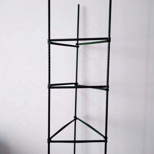 Plastic <strong>Tomato</strong> Stake , Garden Stake Pe Coated Garden Stake for <strong>Tomato</strong> <strong>Support</strong> - Product Image 3