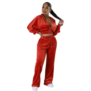 <strong>Women</strong> Cropped Zipper Hoodie <strong>Velour</strong> <strong>Tracksuits</strong> Velvet Set Two Piece Casual <strong>Tracksuit</strong> Sweatsuit Custom Logo 2 Piece <strong>Women'S</strong> Sets - Product Image 5