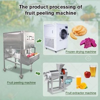 Fruit Appel Oranje Mango Kern Verwijderaar Automatische Industriële Elektrische Gesneden Dunschiller Slice Snijmachine En Schil Machine