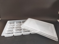 Boîte d'emballage sous blister jetable pour 20 boulettes, qualité alimentaire, conservation des aliments congelés