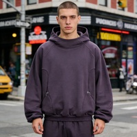 Kişiselleştirilmiş Fonksiyonel Yenilikçi Tasarım %100 Pamuklu Polar Kapüşonlu Sweatshirt Sıcak ve Kırışmaz 3D Nakış