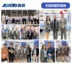Schiuma Poliuretanica (PU) L5 a Forte Adesione Istantanea per Finestre e Porte, Adesivi e Sigillanti - Product Image 6