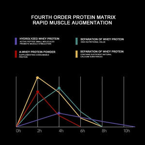 Poudre de Protéine de Lactosérum Saveur <span class=keywords><strong>Chocolat</strong></span> pour l'Exportation Transfrontalière, Améliore la Densité Osseuse, 2 lb (32 oz), 40 Portions - Product Image 4