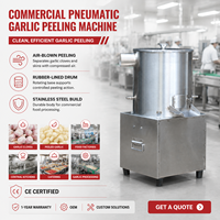 35kg/uur Commerciële RVS Knoflook Schilmachine Luchtgedreven Voedselverwerkingsapparatuur BS-TP35 voor Fabriek OEM ODM