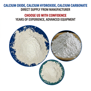 Óxido de Calcio, Hidróxido de Calcio en Polvo, Grado Almidón Mineral, Materia Prima Industrial para Neutralización de Aguas Residuales y Ajuste del pH - Product Image 1