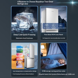 Rongshida 42L Small Dormitory Rental Room Refrigerated Mini Double Door <b>Refrigerator</b> Auto-Defrost Energy Efficiency Level I - Product Image 2
