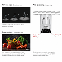 Spot LED encastré double tête orientable SASO GCC anti-éblouissement COB en fonte pour hall d'hôtel, commerce de détail, centre commercial, Moyen-Orient