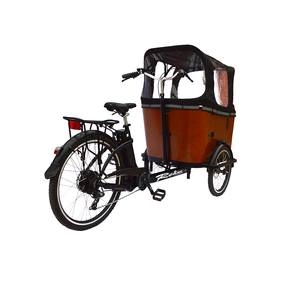 Vélo cargo électrique à trois roues, normes européennes, très vendu, modèle hollandais, pour famille, remorque, tricycle électrique, tricycle électrique urbain - Product Image 4