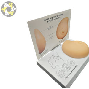 Ciência Médica Silicone Feminino Peito Anatomia Modelo para Medical School Uso Educacional-Modelo Anatômico - Product Image 4