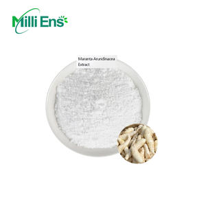 공장 가격 식품 등급 100% 천연 애로우 뿌리 분말 화살 뿌리 분말 Maranta Arundinacea 추출물 - Product Image 5