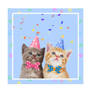 Vaisselle jetable thème chat, lot <span class=keywords><strong>de</strong></span> vaisselle jetable, pour fête d'<span class=keywords><strong>anniversaire</strong></span> - Product Image 5