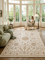 Tapis persans rétro de grande taille, lavables, antidérapants, à poils ras, pour salon, chambre à coucher, tapis sur mesure, décoration intérieure