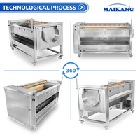 Hoge productiviteit wortelgroente- en fruit schil- en reinigingsmachine met 304 roestvrij staal 1500W voor gember, aardappel, wortel