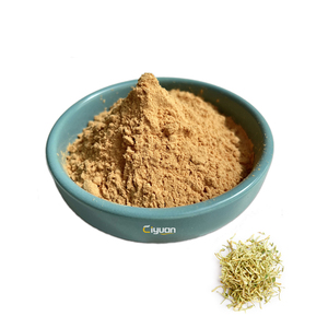 Fornecedor de Fábrica de Pó de Extrato de Flores de Madressilva <span class=keywords><strong>Herbal</strong></span> <span class=keywords><strong>Lonicera</strong></span> <span class=keywords><strong>Japonica</strong></span> - Product Image 1
