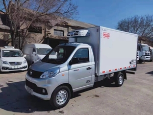 Nueva Camioneta Mini Van de Gasolina Manual <span class=keywords><strong>con</strong></span> Caja Refrigerada y Congelador de -18C para Carga Fría - Product Image 5