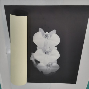 Image personnalisée toile papier Art peintures murales affiche impression photographes éducation <span class=keywords><strong>agence</strong></span> de voyage salon agricole - Product Image 3