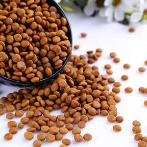 Ligne de production de granulés d'aliments pour chats, chiens et poissons de grande capacité avec moteur PLC 380V - Product Image 4