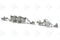 Machine automatique de fabrication de snacks soufflés au maïs et aux fruits, ligne d'extrusion à double vis