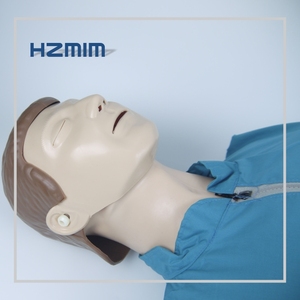 Maniquí de PVC <span class=keywords><strong>para</strong></span> Entrenamiento de RCP de Medio Cuerpo <span class=keywords><strong>para</strong></span> Adultos, Maniquí de Reanimación Cardiopulmonar <span class=keywords><strong>para</strong></span> <span class=keywords><strong>Primeros</strong></span> <span class=keywords><strong>Auxilios</strong></span> y Ciencias Médicas - Product Image 5