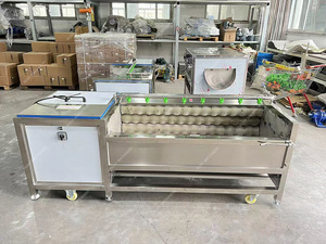 Máquina de Limpieza y Pelado de Mariscos, Conchas, Rábanos, Taro y Remolacha, Tipo Rodillo de Cepillo, de Acero Inoxidable 304, Alta Eficiencia 500-3000kg/h - Product Image 5