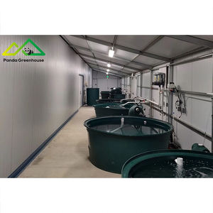 نظام الزراعة المائية المتكامل في الدفيئات: حل متكامل لتربية الأسماك والخضروات للإنتاج التجاري - Product Image 4