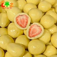 Vente en gros en vrac Halal Lyophilisé FD Fraise Chocolat Fruits composés Forme pâteuse