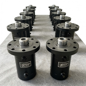 bibo Heavy-Duty Hydraulic Cylinder for Petrochemical Equipment and Hydraulic Log Splitter Applications - Product Image 3