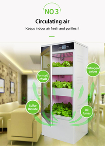 39 Chậu Thủy Canh Nhà Kính Kích Thước Tùy Chỉnh Đủ Phổ Thiết Kế Mới Nhất Làm Vườn Mới Nhất Cho Cây Thủy Canh - Product Image 4