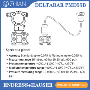 Endress+Hauser PMP51 Diferencial 4-20mA HART Inteligente 316SS IP67/IP65/IP66/IP68 Medidor de Nivel y Flujo de Gas/Aire - Product Image 2