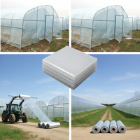 Lámina de Plástico LDPE para Invernadero, 200 Micras, Resistente a los Rayos UV, Moldeada por Extrusión y Soplado, para Cultivo de Tomates y Vegetales, para Invierno