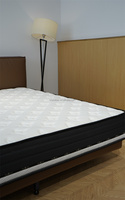 Colchón Híbrido de Muelles Ensacados Lovezone para Dormitorio Escolar Moderno, Tejido de Poliéster Transpirable y Fresco, Muebles para el Hogar con 3 Años de Garantía