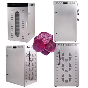 Vacuum Freeze <strong>Dryer</strong> Small Pump Home Use 10 Sqm Lyophilizer Delta Dry Dried Foods Machine for Food Herb Tea Fruit - Product Image 2