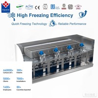 Congélateur tunnel IQF de qualité supérieure, fabrication de qualité, construction entièrement soudée, conception hygiénique pour aliments congelés