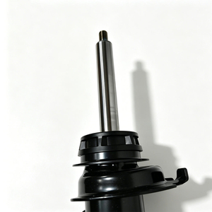 31316873738 Amortiguador Delantero con Núcleo de Gas, Izquierdo o Derecho, para BMW Serie 2 F23 2014-2019 - Product Image 5
