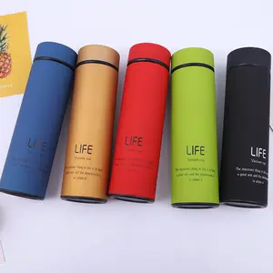 Seaygift Cá Nhân Hóa Tùy Chỉnh 500Ml Infuser Chai Nước Cầm Tay Chân Không Cách Nhiệt Trà Lọc Chai Nước Cho Quà Tặng