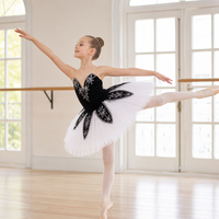Robe de ballet tutu classique professionnelle sans manches, en gaze brodée et velours, pour enfant fille, idéale pour la danse et les fêtes